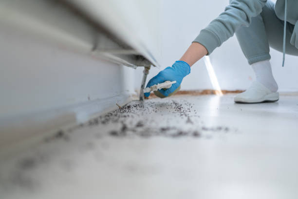 Best Pest Control for Restaurants  in Edgewater, NJ